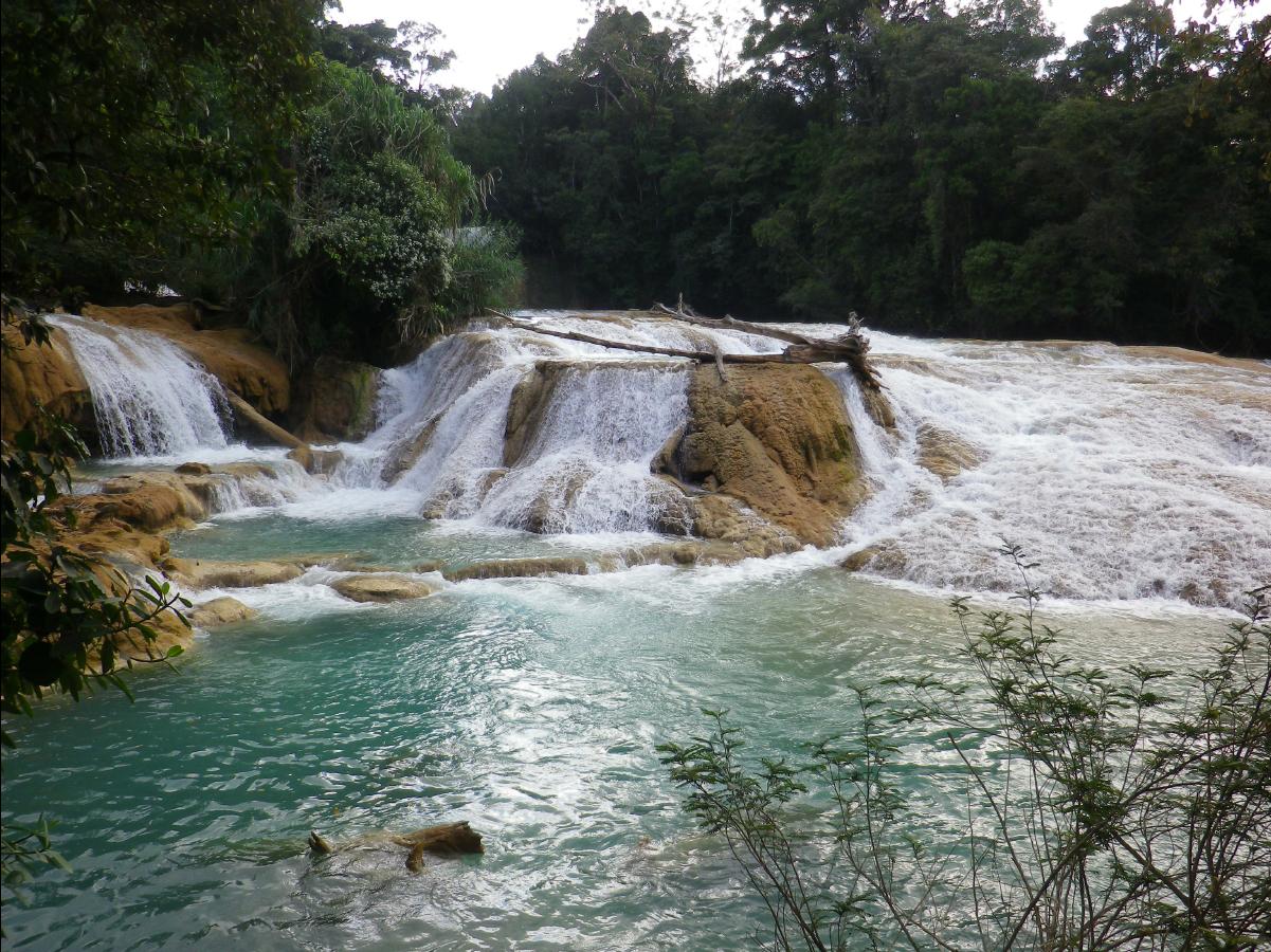 Agua Azul Waterfall28
